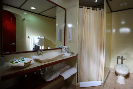 Tip Top II bathroom
